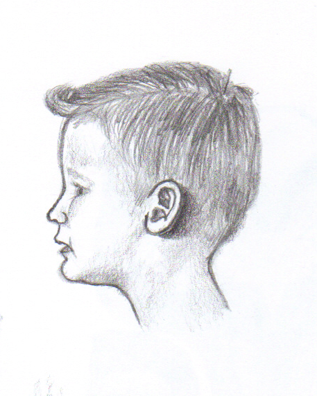 457x572 Profile Sketch