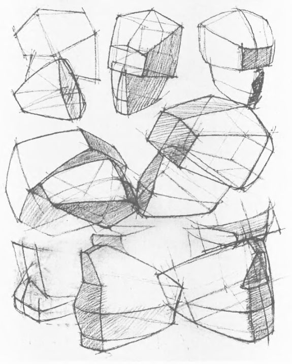 575x716 250 Best Head Anatomy Images On Head Anatomy, Anatomy