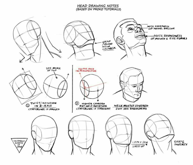 736x630 84 Best Face Shapes Images On Drawing Faces, Drawing