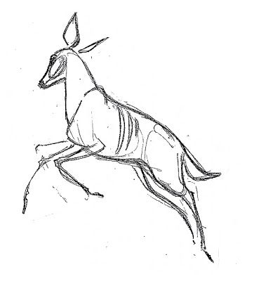 Pronghorn Drawing