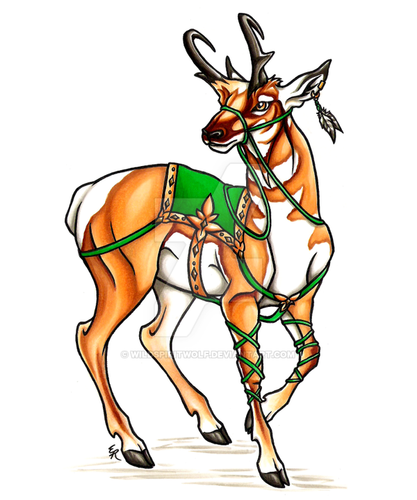 600x720 To Ride A Pronghorn By Wildspiritwolf