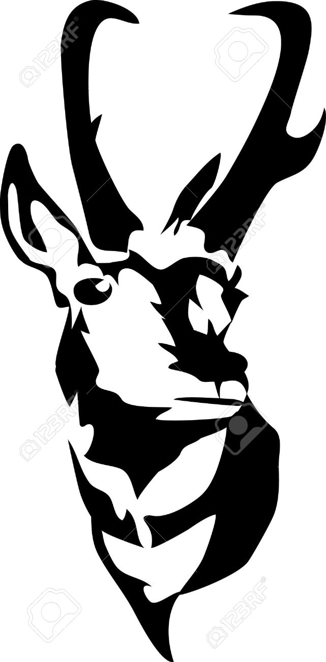 641x1300 Head Of Pronghorn Antelope Art Work Clip Art