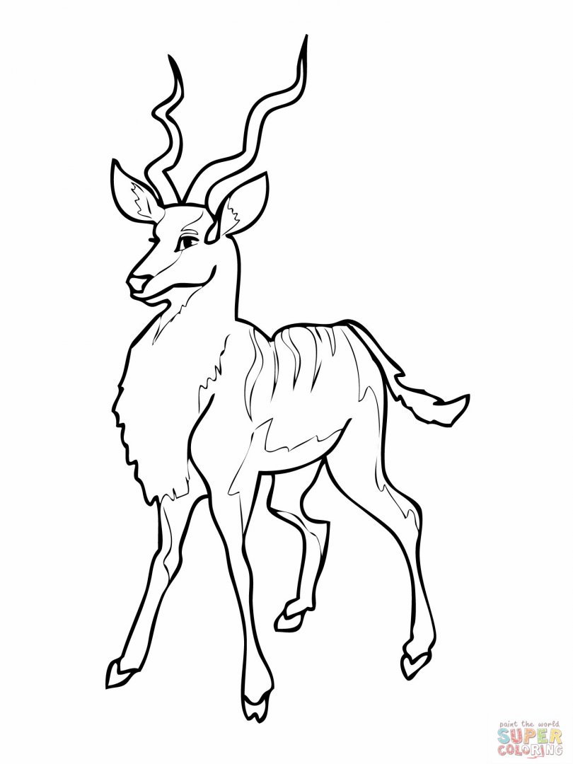 810x1080 Antelope Coloring Pages