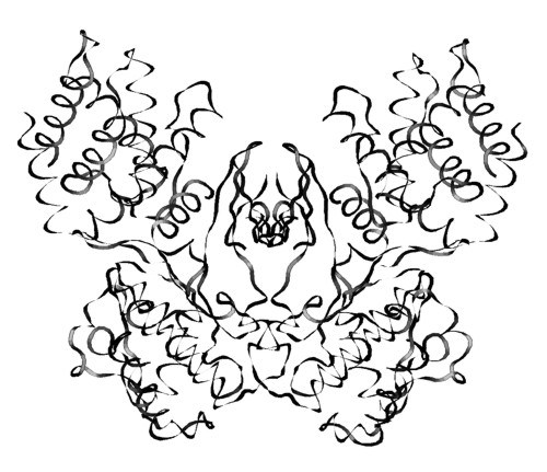 500x431 Protein Art By May K.