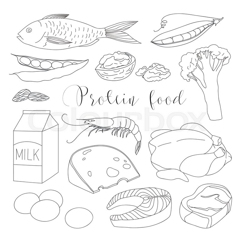 800x800 Best Protein Food Icons For Healthy Diet With Salmon Beans Almonds