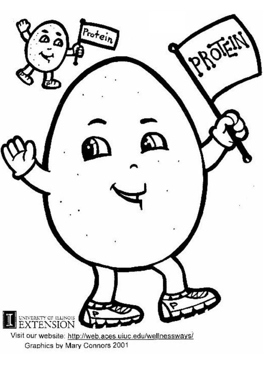 531x750 Coloring Page Protein