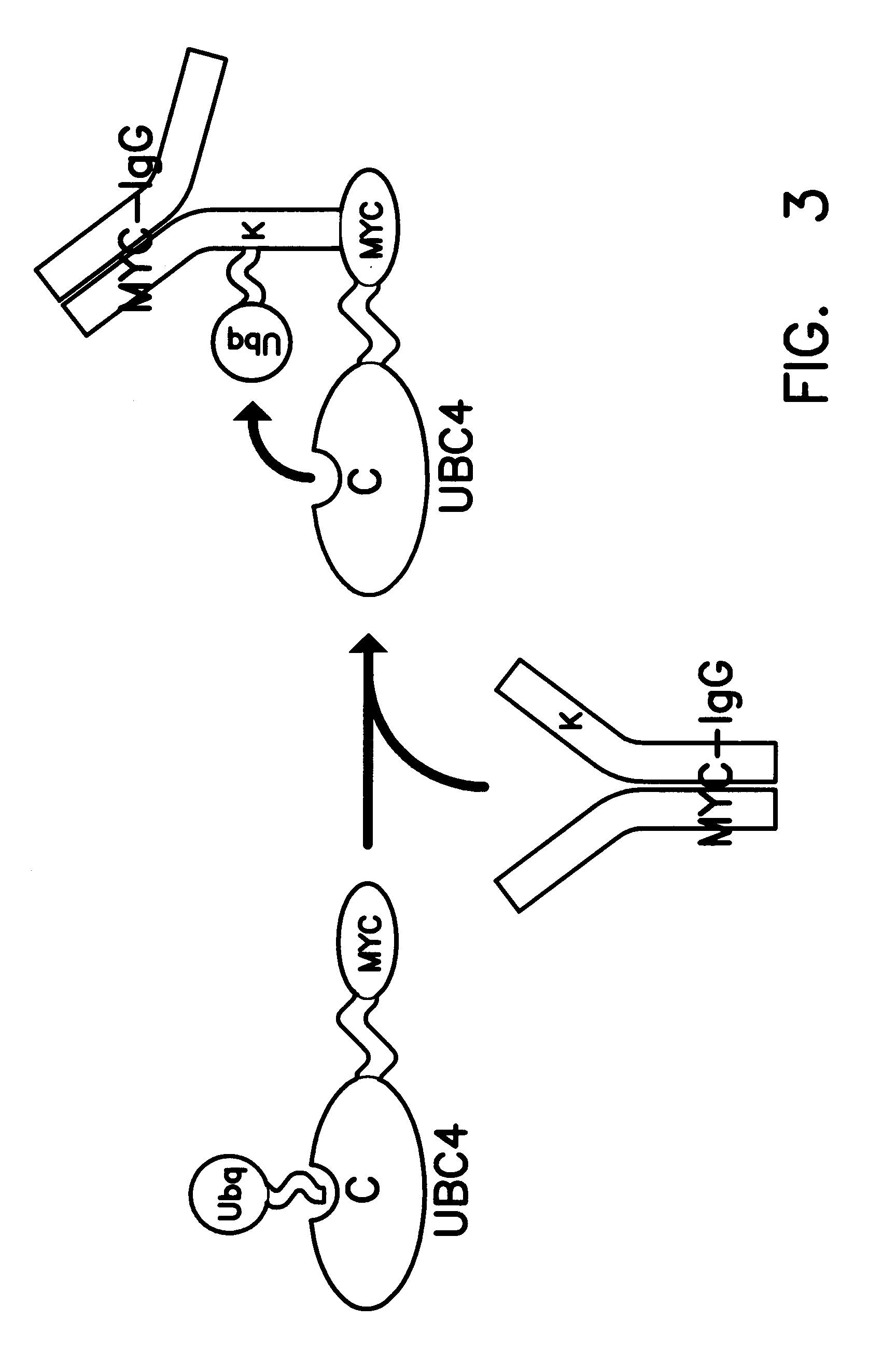 1728x2599 Patent Ep0626450a2