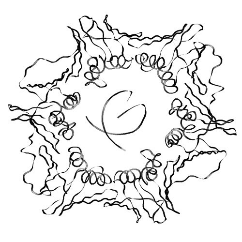 500x500 Protein Art By May K.