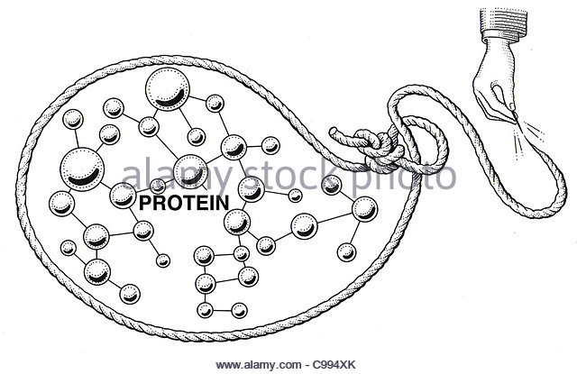 640x415 Protein Structure Black And White Stock Photos Amp Images