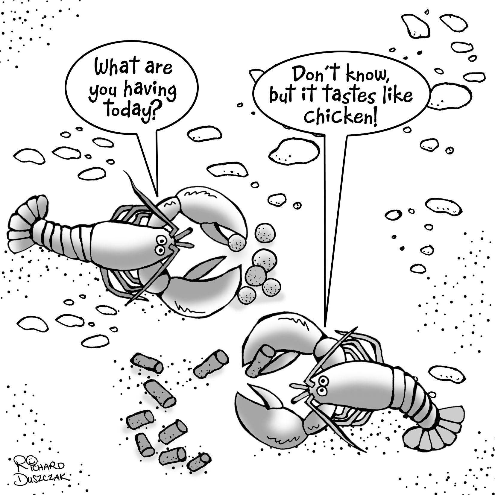 1654x1654 Allaboutfeed