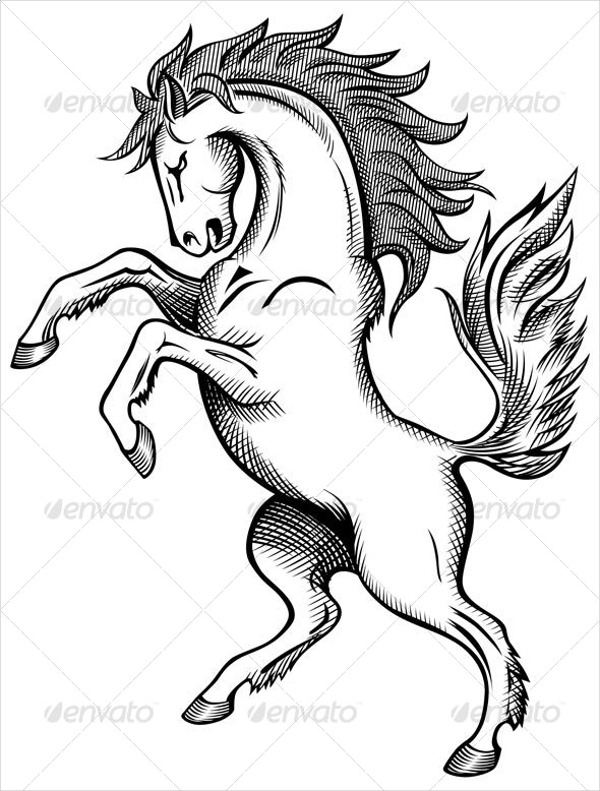 600x791 Animal Drawing Templates