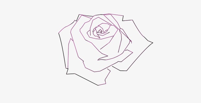 650x332 Rose,line Drawings, Rose, Line Drawings, Line Png And Psd File