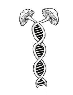 236x305 Leon El Damhougi (Eldamhougi)