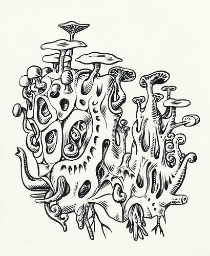 410x500 Mushroom Clump 2