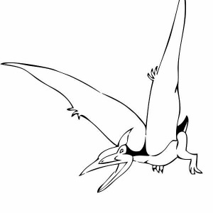 300x300 Online Free Coloring Pages For Kids