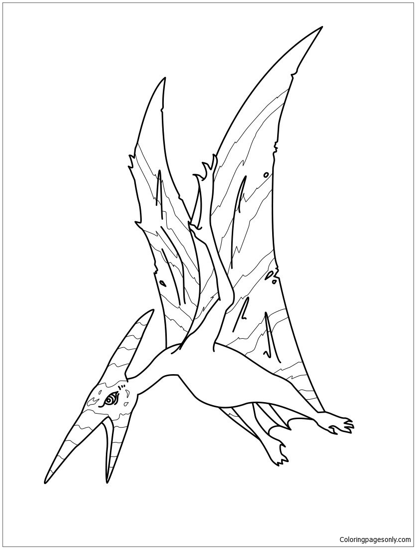 833x1099 Pteranodon 1 Coloring Page
