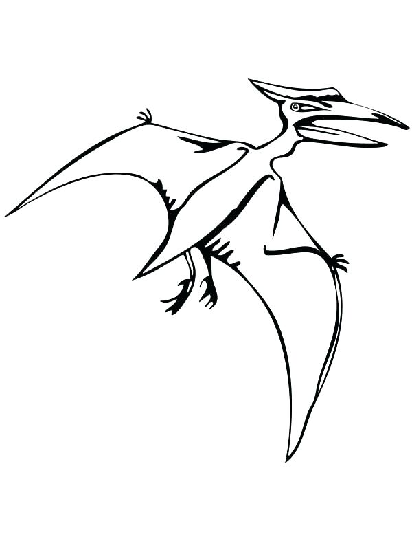 Pteranodon Drawing at GetDrawings | Free download