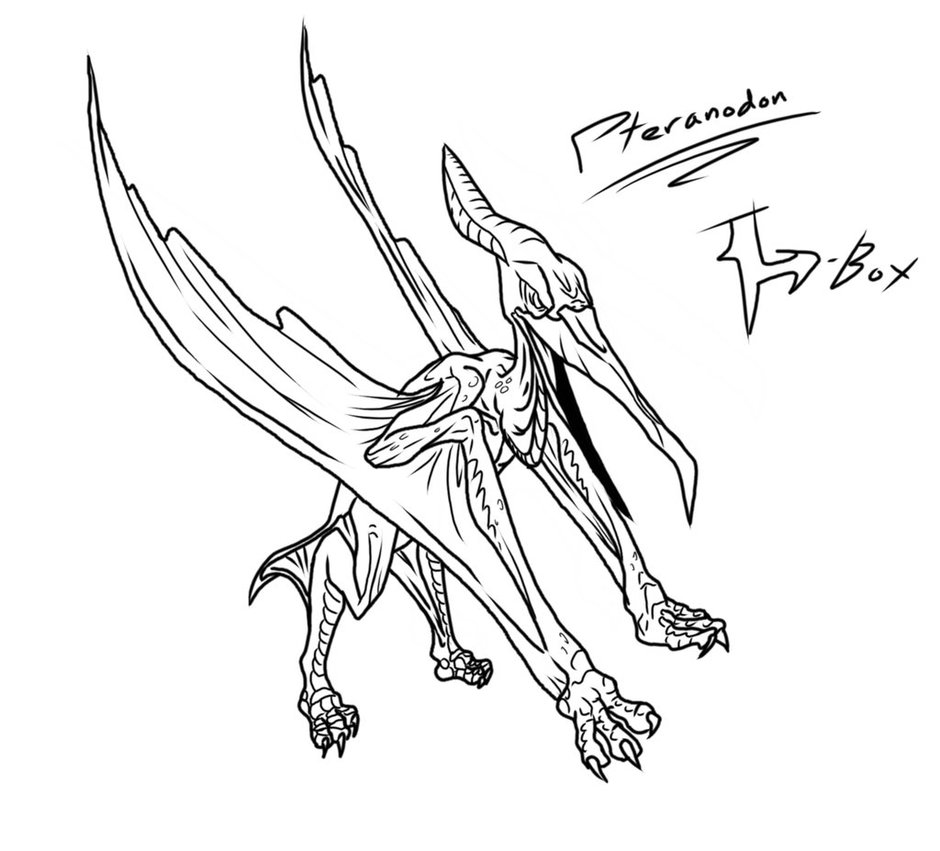 940x851 Pteranodon Lineart By H Box