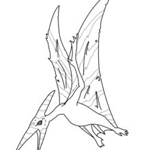 220x220 Pteranodon Coloring Pages