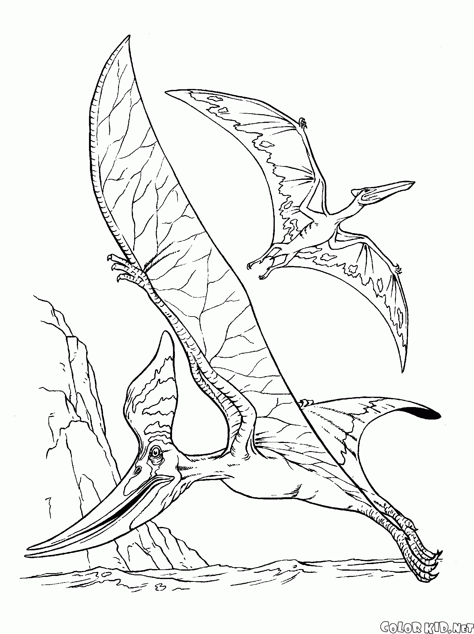 1518x2031 Coloring Page