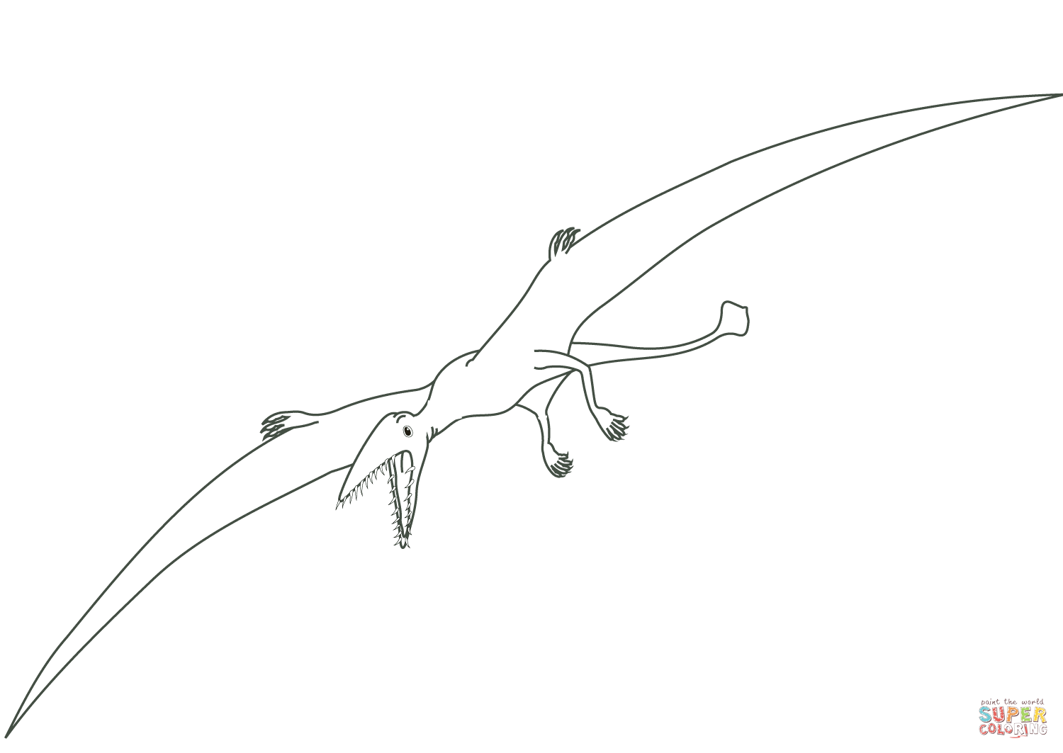 1500x1063 Pterodactyl Dinosaur Coloring Page Free Printable Coloring Pages