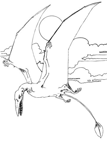 360x480 Rhamphorhynchus Jurassic Pterosaurs Coloring Page Free Printable