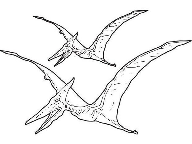 620x465 Dinosaur Coloring Pages