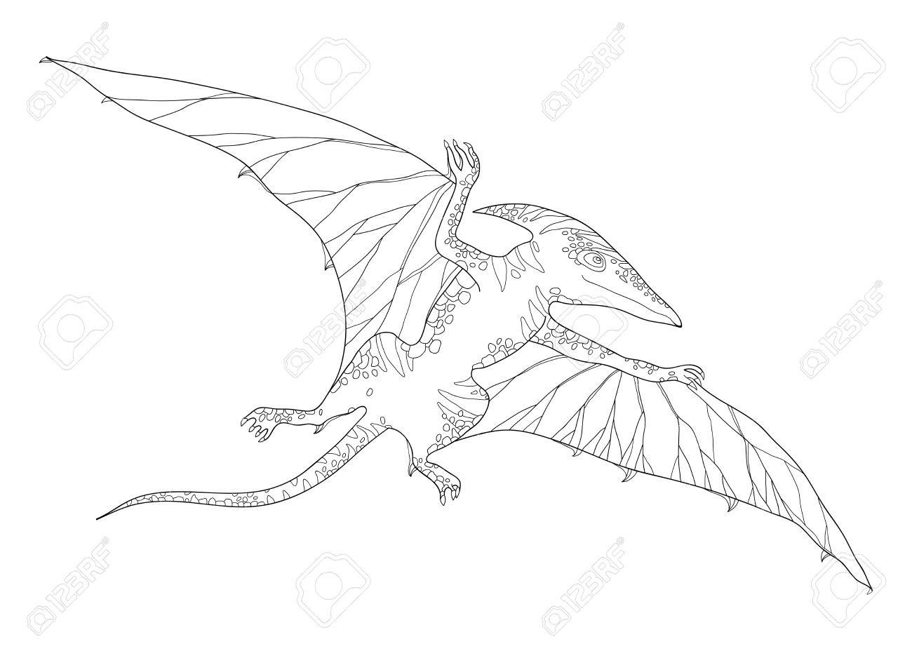 1300x928 Vector Illustration Of Pterodactyl Or Wing Lizard From Suborders
