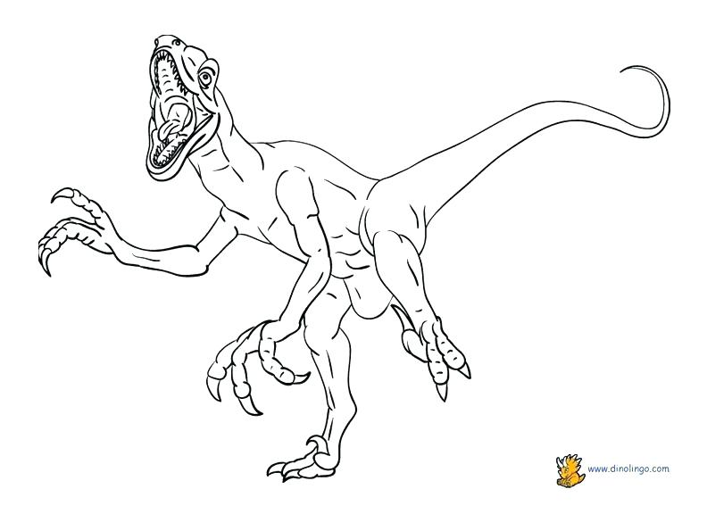 792x576 Dinosaur Coloring Page Coloring Pages Of Dinosaurs Drawing Kids