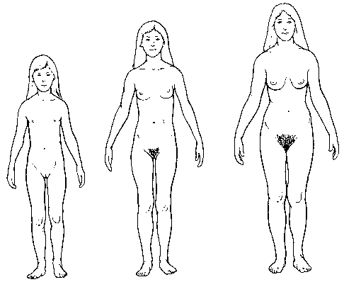 486x398 Index Of Imageolugh