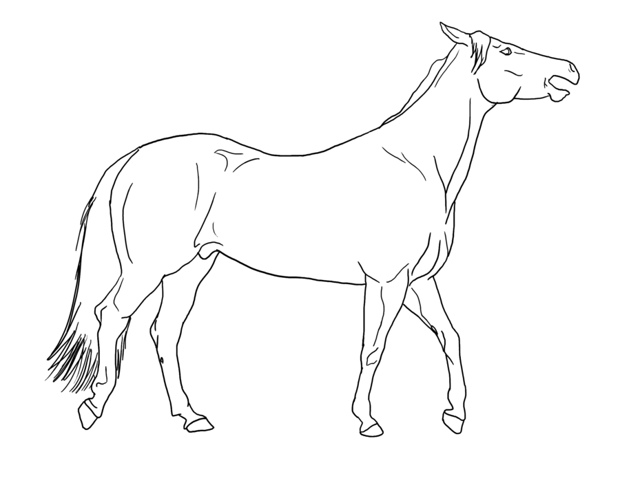 900x721 Horse Walking Mouth Open Lines Public Domain By Allicorn