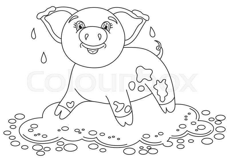 800x567 Vector Illustration Of Cute Pig In A Puddle, Funny Piggy Standing