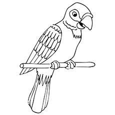 230x230 25 Cute Parrot Coloring Pages Your Toddler Will Love To Color