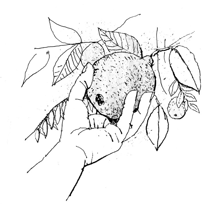 747x720 B Amp W Portfolio Daniel Baxter Art