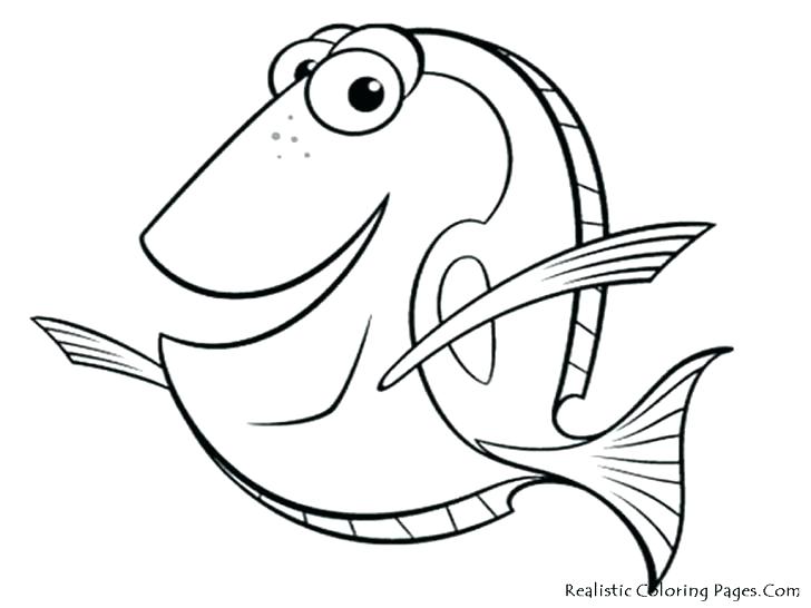 728x546 Puffer Fish Coloring Page Synthesis.site
