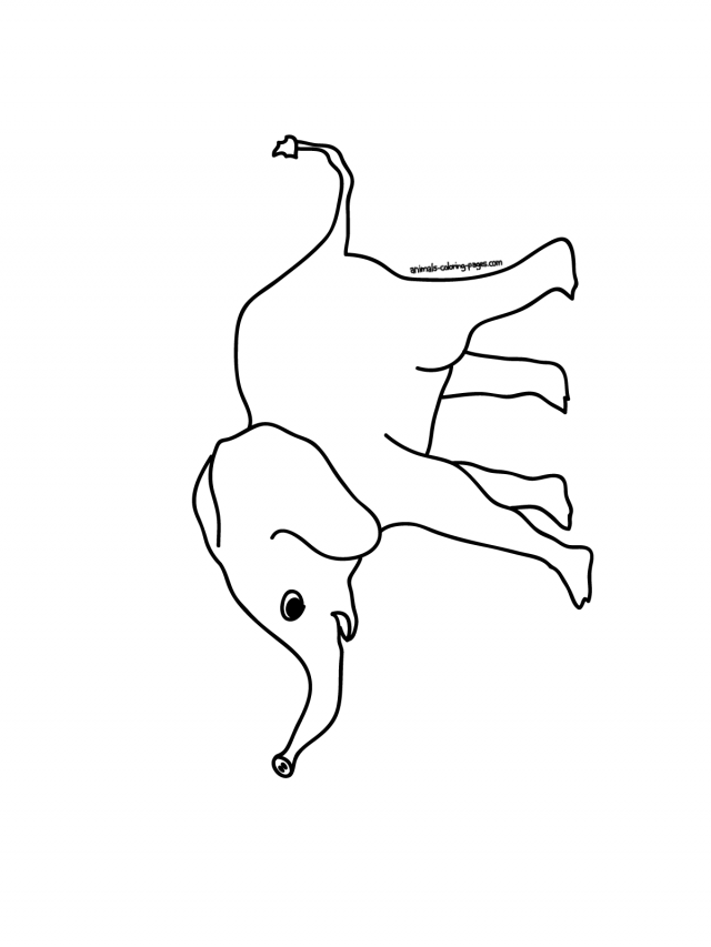 640x853 Puffer Fish Coloring Page