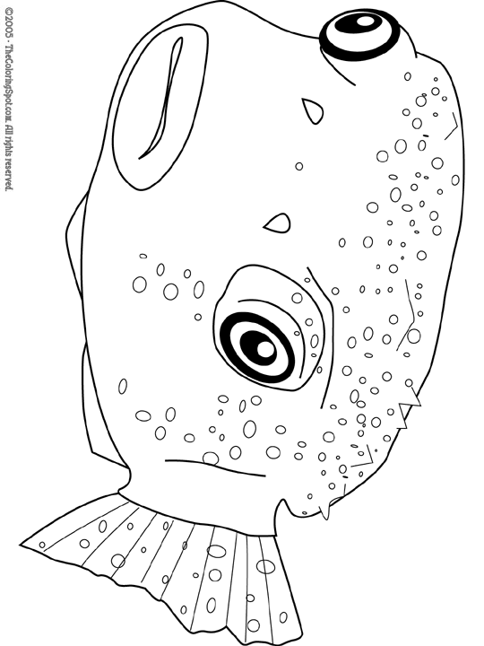 540x720 Pufferfish Audio Stories For Kids Amp Free Coloring Pages