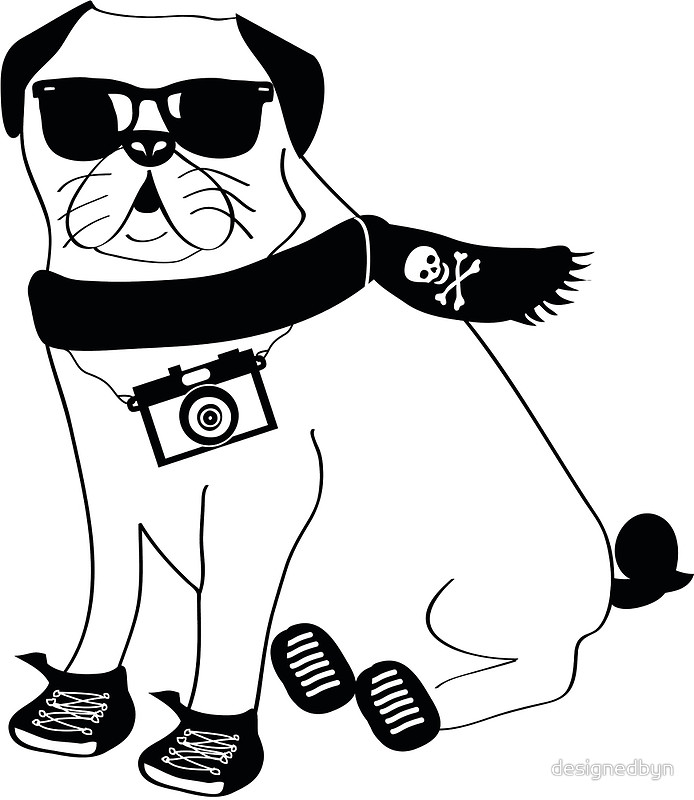 694x800 Hipster Pug