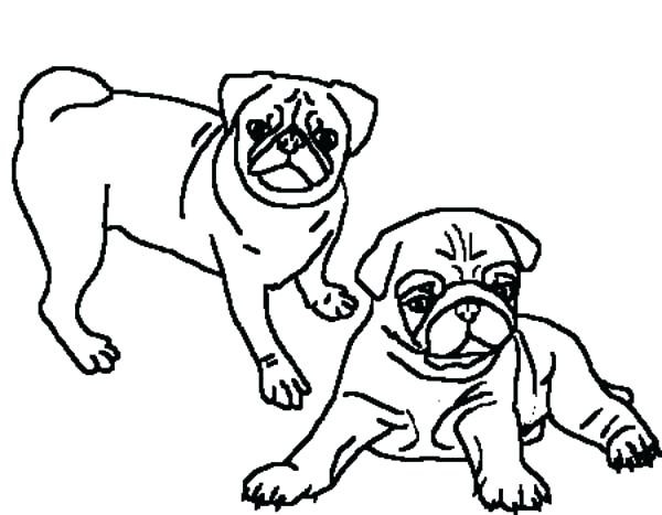 600x467 Pug Coloring Pictures Pug Dog Cartoon Draw Online X These Are