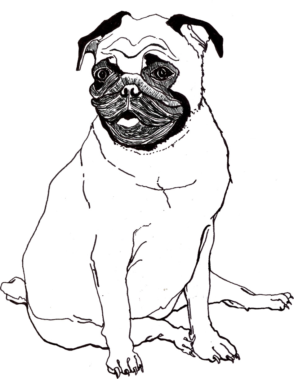 948x1224 Pug Dog Cartoon Draw Online X These Are Searching Code Pug Pals