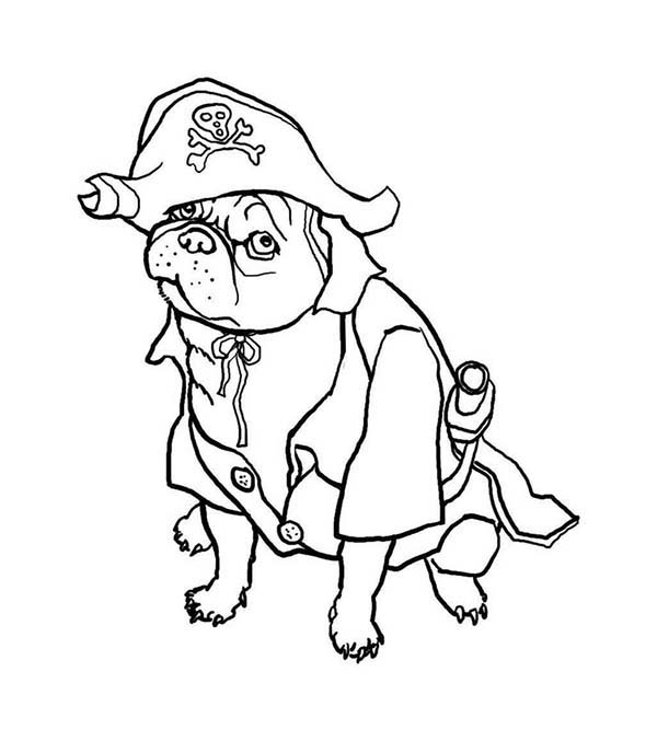 600x677 Pug The Dog Pirate Coloring Page Color Luna