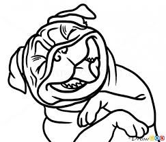 243x207 The Best Pug Cartoon Ideas On Pug Illustration