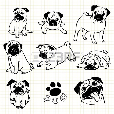 450x450 Line Drawing Of Pug Dog Set On Grid Paper Use For Elements