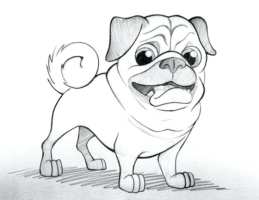 The best free Pug drawing images. Download from 630 free drawings of ...