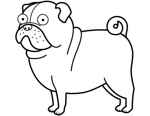 480x371 Pug Dog Coloring Page Free Printable Coloring Pages