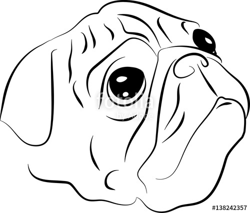 500x427 Vector Sketch Of Pug Dog Stock Image And Royalty Free Vector