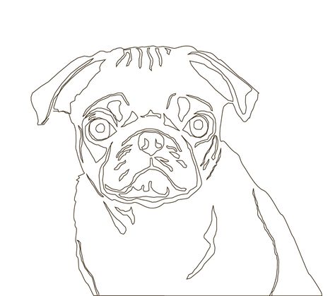 474x419 Easy To Draw Pug That