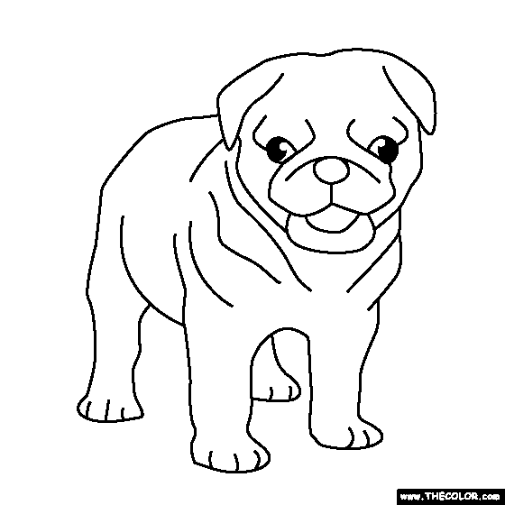 560x560 Pug Puppy Coloring Page Craft Ideas Pug Puppies