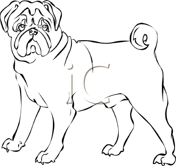 350x331 Pug Clipart Line Drawing