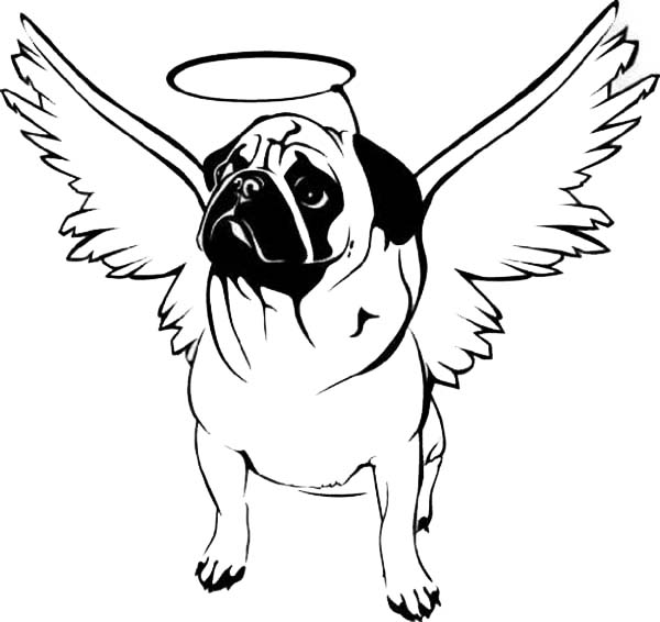 600x566 Pug Coloring Pages Colorbook Coloring Books